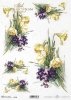 flower, bud, leaf, leaves, daffodil, violet, bouquet, garden, meadow, Blume, Knospe, Blatt, Blätter, Narzisse, Veilchen, Strauss, Sträusse, Garten, Wiese, flor, flores, capullo, brotes, hoja, narcisos, violetas, ramo, ramilletes, jardín